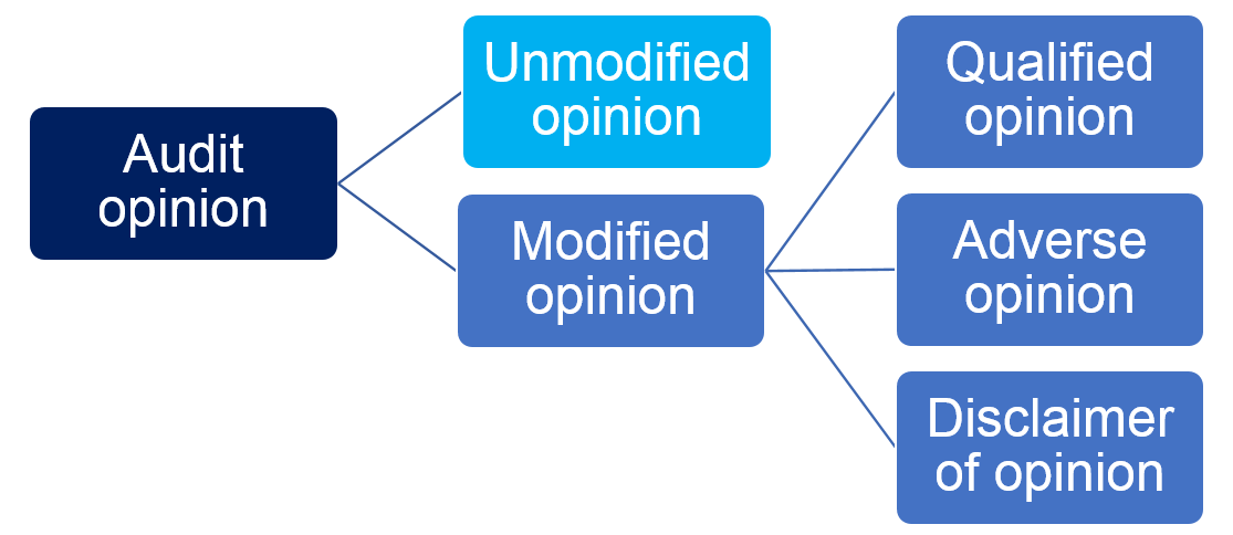 Types of audit opinion
